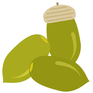 フリー素材 イラスト 秋 どんぐり 無料 商用可 PNG