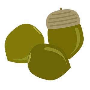 フリー素材 イラスト 秋 どんぐり 無料 商用可 PNG