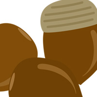 どんぐり 秋 無料 イラスト フリー素材 商用可 png