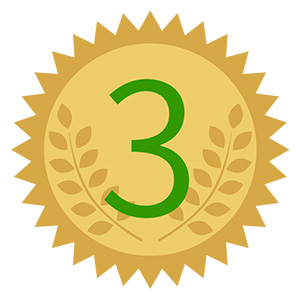 フリー素材 イラスト 銅メダル メダル 運動会 体育祭 オリンピック 無料 商用可 PNG