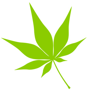 フリー素材 イラスト 秋 もみじ 紅葉 無料 商用可 PNG