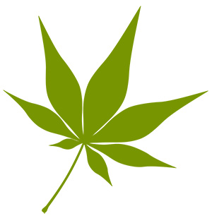 フリー素材 イラスト 秋 もみじ 紅葉 無料 商用可 PNG