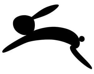 フリー素材 イラスト 秋 月見 月見団子 すすき うさぎ 無料 商用可 PNG