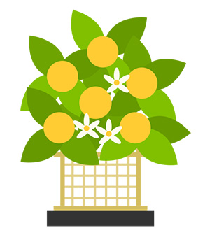 フリー素材 イラスト 橘 おひなさま お雛様 春 無料 商用可 PNG