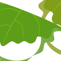 端午の節句 柏餅 春 無料 イラスト フリー素材 商用可 png