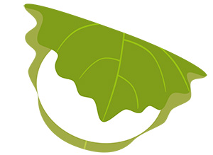 フリー素材 イラスト 柏餅 端午の節句 春 無料 商用可 PNG