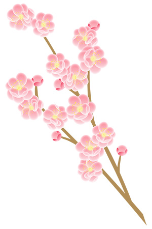 フリー素材 イラスト 桃の花 春 無料 商用可 PNG