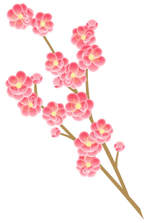 フリー素材 イラスト 桃の花 春 無料 商用可 PNG