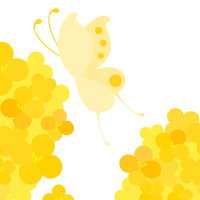 菜の花 蝶 春 無料 イラスト フリー素材 商用可 png