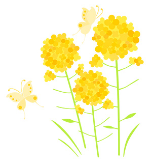 フリー素材 イラスト 菜の花 蝶 春 無料 商用可 PNG