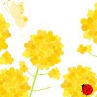 菜の花 蝶 てんとうむし 春 無料 イラスト フリー素材 商用可 png