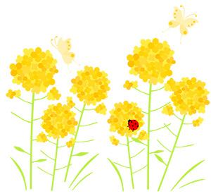 フリー素材 イラスト 菜の花 蝶 てんとうむし 春 無料 商用可 PNG