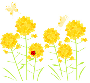 フリー素材 イラスト 菜の花 蝶 てんとうむし 春 無料 商用可 PNG