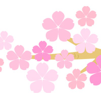 桜の枝 春 無料 イラスト フリー素材 商用可 png