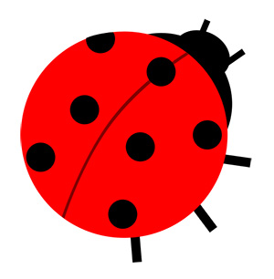 フリー素材 イラスト てんとうむし 春 無料 商用可 PNG