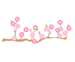 フリー素材 イラスト おひなさま お雛様 雛祭り 梅の花 春 無料 商用可 PNG