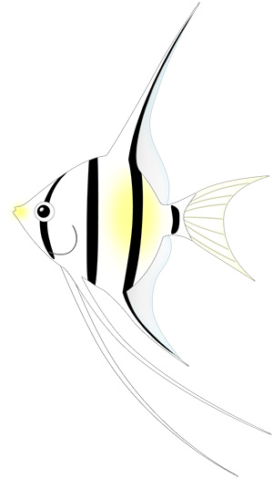 フリー素材 イラスト エンゼルフィッシュ 熱帯魚 夏 goldfish 無料 商用可 PNG