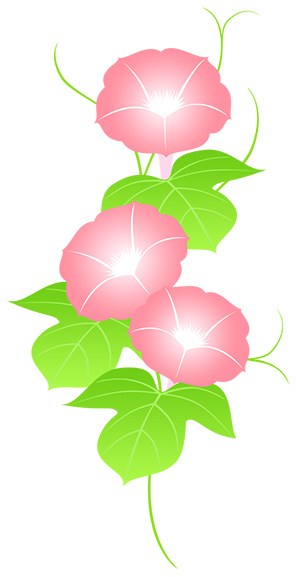 フリー素材 イラスト 朝顔 夏 goldfish 無料 商用可 PNG