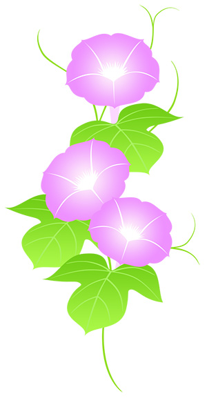 フリー素材 イラスト 朝顔 夏 goldfish 無料 商用可 PNG