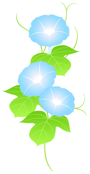 フリー素材 イラスト 朝顔 夏 goldfish 無料 商用可 PNG