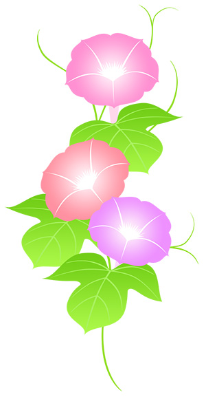 フリー素材 イラスト 朝顔 夏 goldfish 無料 商用可 PNG