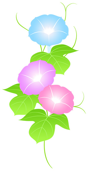 フリー素材 イラスト 朝顔 夏 goldfish 無料 商用可 PNG