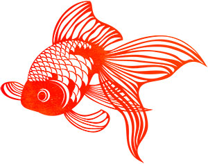 フリー素材 イラスト 金魚 夏 goldfish 無料 商用可 PNG