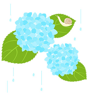 フリー素材 イラスト 梅雨 あじさい かたつむり 無料 商用可 PNG