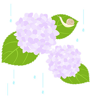 フリー素材 イラスト 梅雨 あじさい かたつむり 無料 商用可 PNG