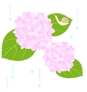 フリー素材 イラスト 梅雨 あじさい かたつむり 無料 商用可 PNG