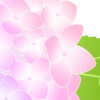 あじさい 無料 イラスト フリー素材 商用可 png