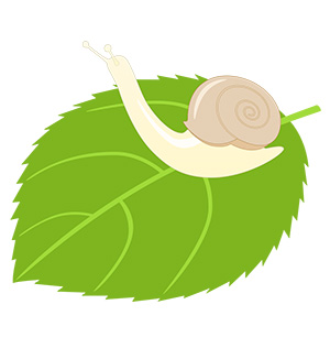 フリー素材 イラスト 梅雨 かたつむり 無料 商用可 PNG