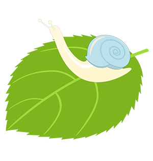 フリー素材 イラスト 梅雨 かたつむり 無料 商用可 PNG