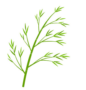 フリー素材 イラスト 梅雨 七夕 笹 竹 無料 商用可 PNG