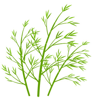 フリー素材 イラスト 梅雨 七夕 笹 竹 無料 商用可 PNG