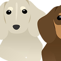 犬 ダックスフント ミニチュアダックス 干支 戌年 冬 無料 イラスト フリー素材 商用可 png