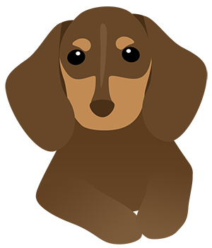 犬 ダックスフント ミニチュアダックス フリー素材 イラスト 冬 正月 干支 戌年 無料 商用可 PNG