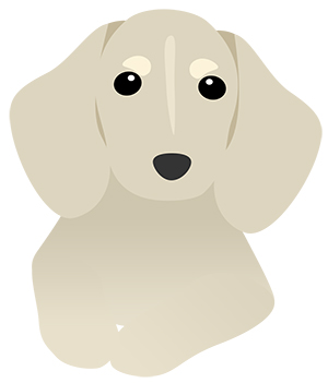 犬 ダックスフント ミニチュアダックス フリー素材 イラスト 冬 正月 干支 戌年 無料 商用可 PNG