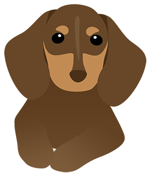 犬 ダックスフント ミニチュアダックス フリー素材 イラスト 冬 正月 干支 戌年 無料 商用可 PNG