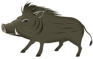 亥 亥年 いのしし 無料 年賀状 2019 平成31年フリー素材 イラスト 冬 正月 干支 亥年 無料 商用可 PNG