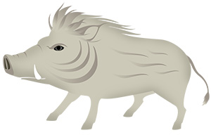 亥 亥年 いのしし 無料 年賀状 2019 平成31年フリー素材 イラスト 冬 正月 干支 亥年 無料 商用可 PNG