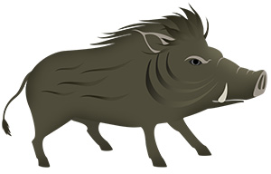 亥 亥年 いのしし 無料 年賀状 2019 平成31年フリー素材 イラスト 冬 正月 干支 亥年 無料 商用可 PNG