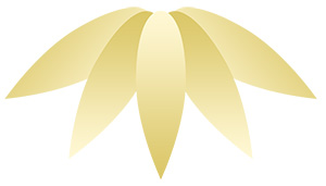 フリー素材 イラスト 冬 正月 竹 笹 無料 商用可 PNG